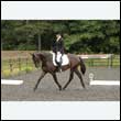 durdress26_0567