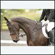 durdress26_0571