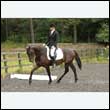 durdress26_0574
