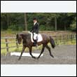 durdress26_0575