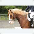 durdress26_0579