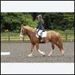 durdress26_0581