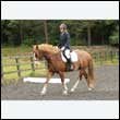 durdress26_0582