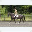 durdress26_0583