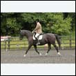 durdress26_0584