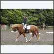 durdress26_0585