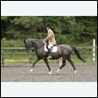 durdress26_0586