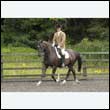 durdress26_0589