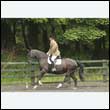 durdress26_0590
