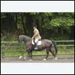 durdress26_0591