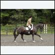 durdress26_0592