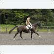 durdress26_0593