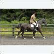 durdress26_0594