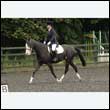 durdress26_0599