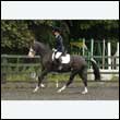 durdress26_0603