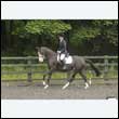 durdress26_0605