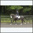 durdress26_0606