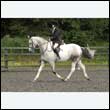durdress26_0610