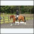 durdress26_0611
