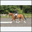 durdress26_0612