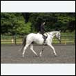 durdress26_0614