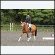 durdress26_0624