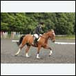 durdress26_0627