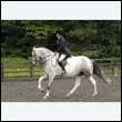 durdress26_0628