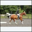 durdress26_0630