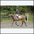 durdress26_0633