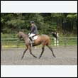 durdress26_0634
