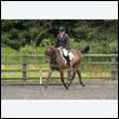 durdress26_0636