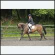 durdress26_0638