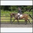 durdress26_0640