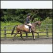 durdress26_0641