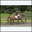durdress26_0642