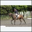 durdress26_0643