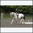 durdress26_0650