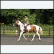 durdress26_0652
