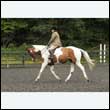 durdress26_0653