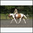 durdress26_0654