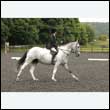 durdress26_0656