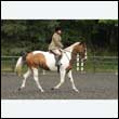 durdress26_0658