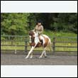 durdress26_0659