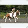 durdress26_0660