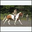 durdress26_0661