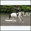durdress26_0662