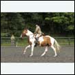 durdress26_0666
