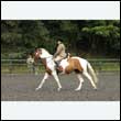 durdress26_0667