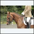 durdress26_0669